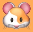 WWW,av795·COM网站APPAPP应用