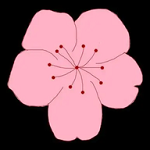 菠萝视频APPAPP应用